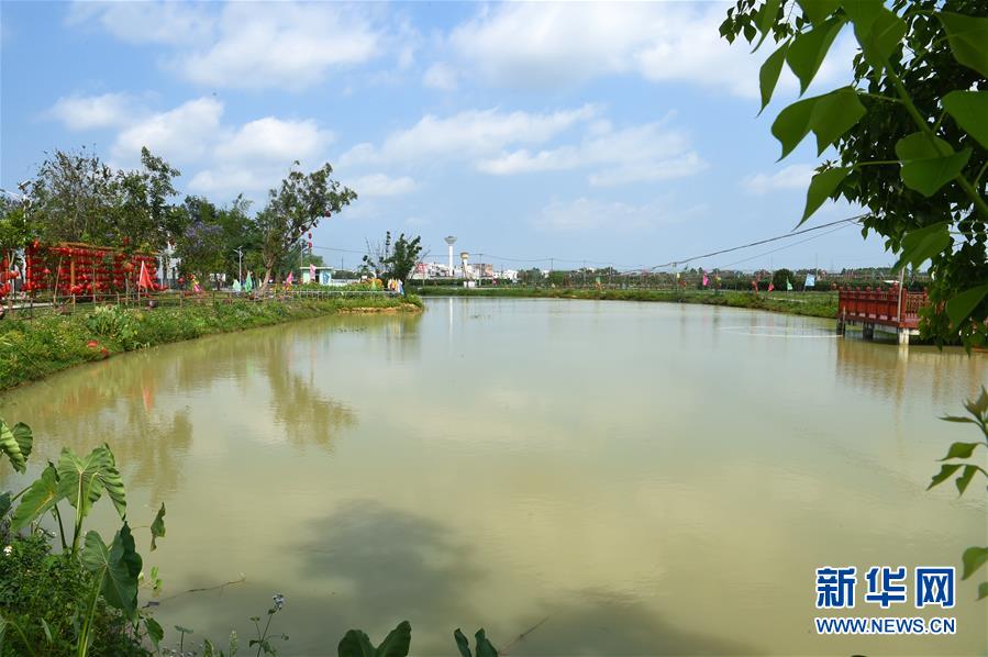 （乡村振兴·图文互动）（1）从贫困村屯到乡村旅游区——一个壮乡山村的蝶变