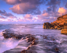 虚拟数字人：从“工具”向“伙伴”跃迁