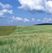 新型建材如何推广应用？住房城乡建设部印发首批经验做法清单