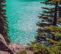 远期售汇业务外汇风险准备金率降至0