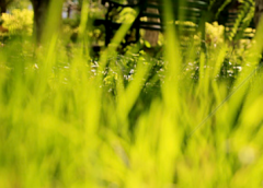 应急管理部：2026年将有序开展季度明查暗访和年度考核巡查