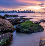 人民艺起评：拜金炫富不可取，“霸总”微短剧该管管了