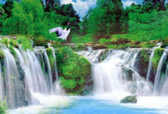 我国建成全球规模最大水利基础设施体系